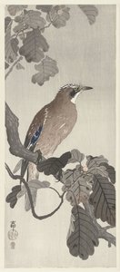 Eichelhäher auf einem Ast von Ohara Koson
