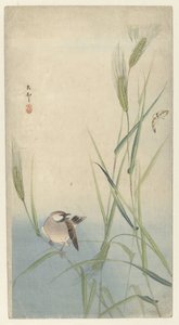 Vogel und Schmetterling