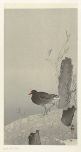 Teichhuhn von Ohara Koson