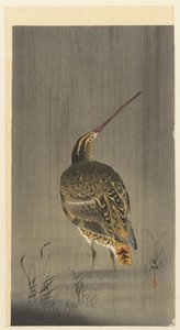 Bekassine im Regen von Ohara Koson