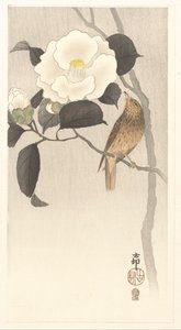 Singvogel und blühende Kamelie von Ohara Koson