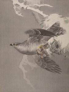 Falke hält einen kleinen Vogel, ca. 1891-92 von Okada Baison
