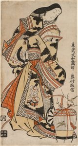 Eine elegante Dame