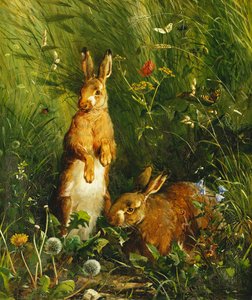 Hasen, 1878 von Olaf August Hermansen