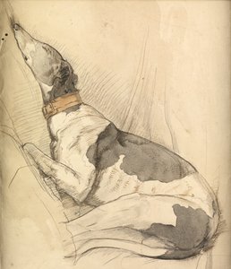 Schlafender Windhund von Olive Branson