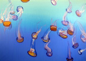 Méduses 3, 2012