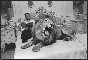 Tony Randall mit Löwe (Zamba) am Set von 