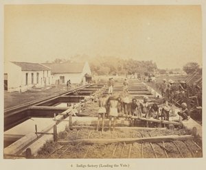Indigofabrik (Beladen der Bottiche) von Oscar Jean Baptiste Mallitte