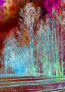 Surrealer bunter Wald von Osvaldo Russo