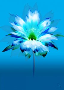 Lebhafte blaue Blüte