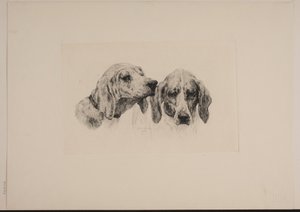 Zwei Hundeköpfe von Otto Bache