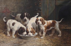 Bernhardinerwelpen trinken Milch von Otto Eerelman