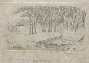 Skizze aus der Natur, 1879