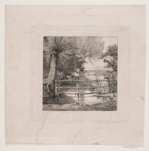 Weidenbäume an einem Wasserlauf von Otto Haslund