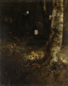 Waldboden mit einer Schlange, Eidechsen, Schmetterlingen und anderen Insekten