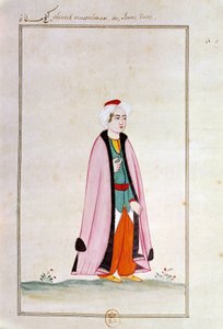 Osmanische Kunst: Ein junger Türke von Ottoman School