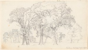Partie aus Knabstrup Dyrehave von P.C. Skovgaard