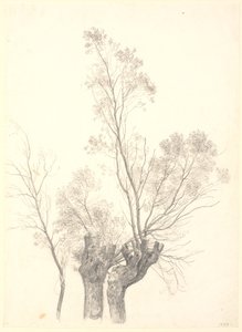 Studie von beschnittenen Weidenbäumen von P.C. Skovgaard