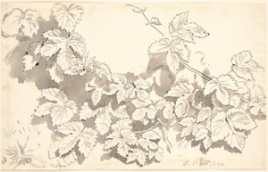 Studienblatt. Eichenblätter. von P.C. Skovgaard