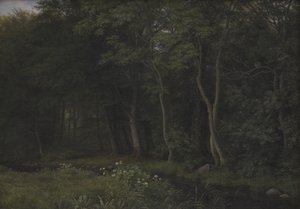 Dämmerung in einem Wald nahe dem Gut Iselingen, Seeland