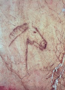 Kopf eines Pferdes, aus der Cueva de la Pena de Candamo San Roman (Höhlenmalerei) von Paleolithic