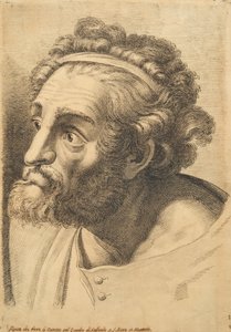 Kopf eines bärtigen Mannes, aus 42 Studien von Köpfen nach Raphael von Paolo Fidanza