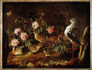 Stillleben mit Eule und Ibis