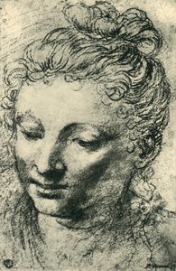 Kopf einer Frau, die nach unten schaut, Mitte des 16. Jahrhunderts, 1943 von Paolo Veronese