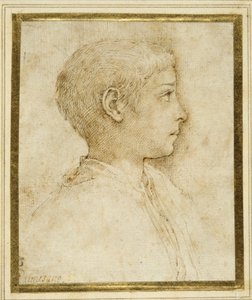 Büste eines Jungen im Profil nach rechts von Parmigianino