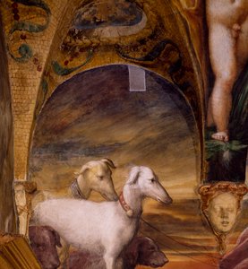Gruppe von Hunden