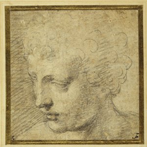 Kopf eines Jungen, fast im Profil nach links von Parmigianino