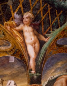 Putto von Parmigianino