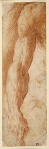 Studie des rechten Arms eines Mannes, seine Hand hält einen Stock von Parmigianino