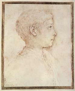 Kopf eines Jungen von Parmigianino