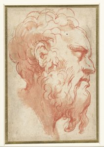 Kopf eines alten Mannes, im Profil nach rechts von Parmigianino