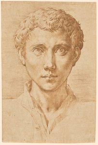 Der Kopf eines jungen Mannes von Parmigianino