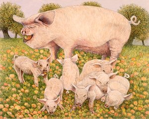 Schweine fressen