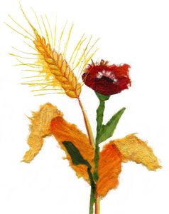 Natur, 2021