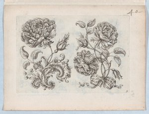 Serie kleiner Blumenmotive, Platte 5, ca. 1670-85 von Paul Androuet Du Cerceau