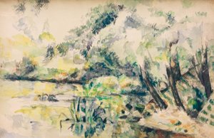 Sumpfwasser (in der Nähe von Melun?)