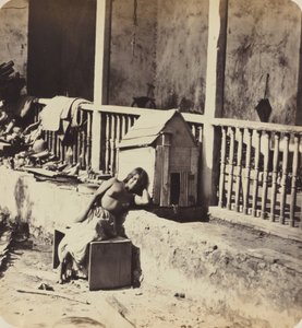 Chien de Garvel (Martinique)