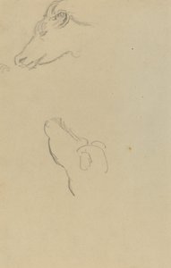 Kopf einer Kuh [recto] von Paul Gauguin