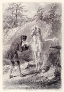 Das Pferd blieb stehen und starrte mich an, aus der französischen Ausgabe von Gullivers Reisen von Jonathan Swift von Paul Gavarni