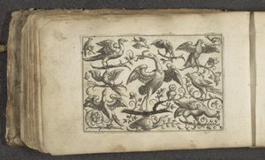 Kranich und zwölf andere Vögel von Paul Göttich