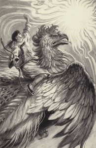 Shen I fliegt zur Sonne von Paul Hardy