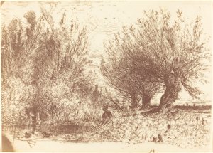 Ufer eines Flusses von Paul Huet