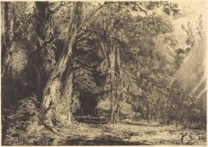 Überschwemmung im Wald der Île Séguin von Paul Huet
