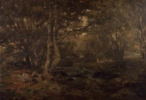Durch den Wald, Pont-y-Gytyn, Nordwales