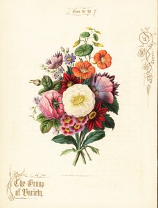 Blumenstrauß aus weißer Rose, Dahlie, Kapuzinerkresse, Aurikel von Paul Jerrard