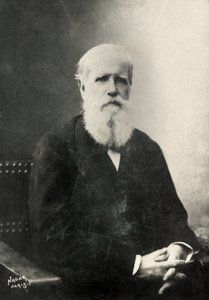 Porträt von Dom Pedro, Kaiser von Brasilien von Paul Nadar
